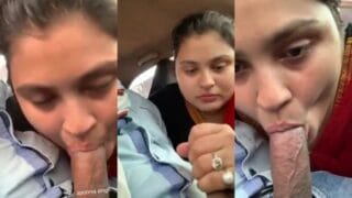 Desi Video Desi Girl Sucking Big Dick In the Car XNXX