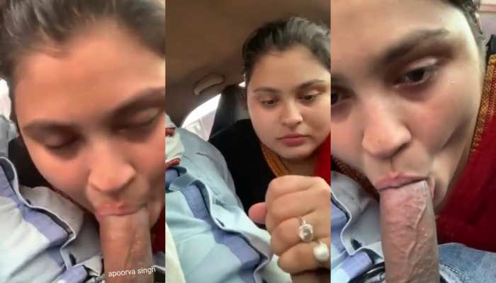 Desi Video Desi Girl Sucking Big Dick In the Car XNXX