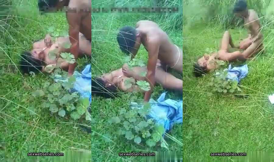 Desi Video Desi jungle sex MMS